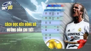 Cách đọc kèo bóng đá tại Sky88