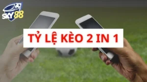 Tỷ lệ kèo 2 in 1 tại Sky88